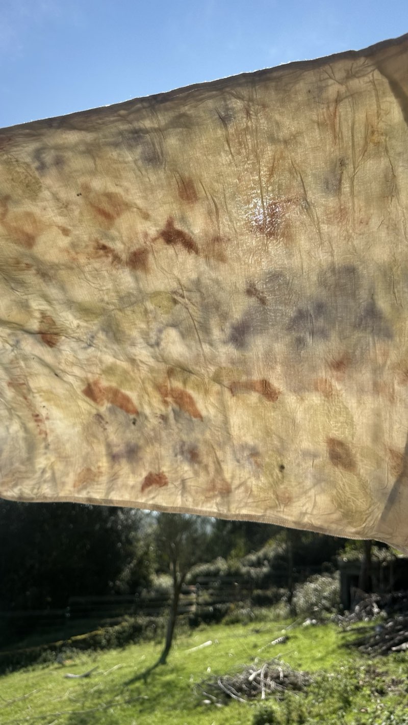 The printed silk against the sky